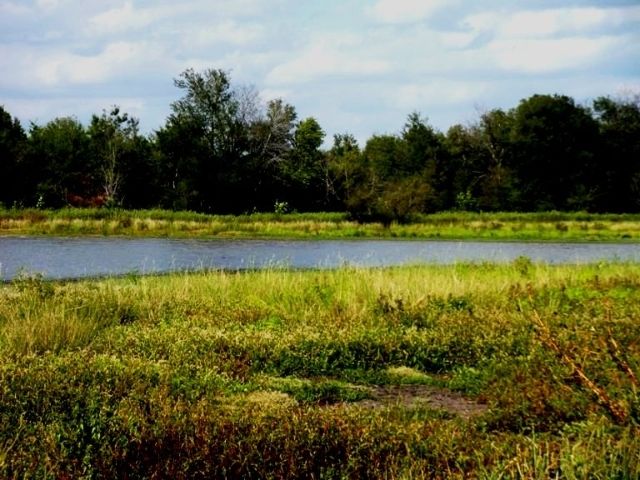 00 Hwy 34, Terrell, TX 75160